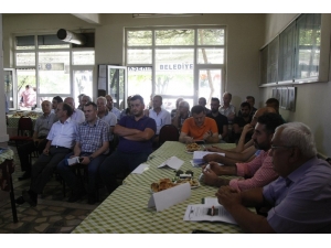 Asil Çelik’in Çed Toplantısı Yapılamadı