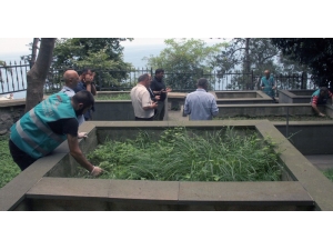 Hükümlüler Çöp Topladı