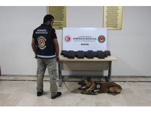 Mersin Limanı’nda 23 Kilo 745 Gram Kokain Ele Geçirildi