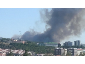 Çanakkale’de Orman Yangını