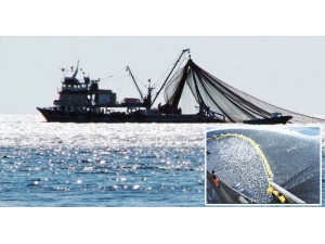 Denizlerde Av Yasağı Sona Eriyor