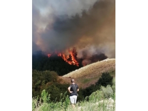 Yangında Hastalar Tahliye Ediliyor