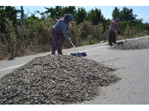 ’İnegöl Alası’na Polis Ve Zabıta Operasyonu
