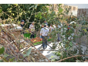 53 Yaşındaki Adam Evinde Ölü Bulundu