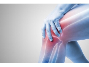 İnsan Ömrünü Uzatacağı İddia Edildi