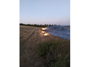Yenişehir’de Çamlık Alanda Çıkan Yangın Söndürüldü