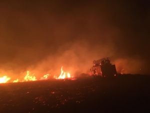 Avşa Adası’nda Otluk Alanda Yangın