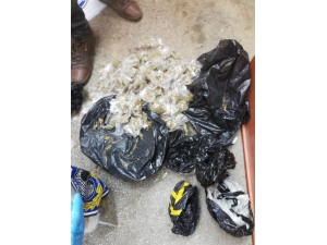 Esrarla Yakalanan Zanlı Tutuklandı