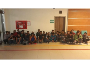 Edirne’de 29 Kaçak Göçmen Yakalandı