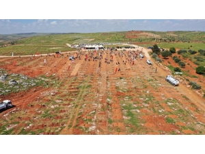 Arıl’daki 84 Bin 750 Fidan Gelecek Nesiller İçin Büyütülüyor