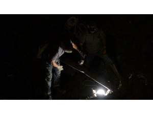 Nato Hattında Sızıntı Paniği...büyük Seferberlik