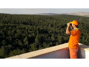 7 Gün 24 Saat Ormanı Gözetliyorlar