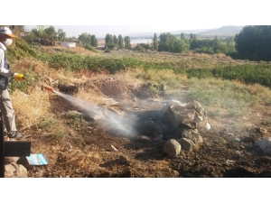 Büyükşehir Belediyesi, İlaçlama Çalışması Başlattı