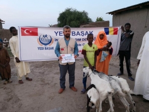 Yedi Başak İnsani Yardım Derneği’nden Afrika’da "Süt Keçisi Projesi"