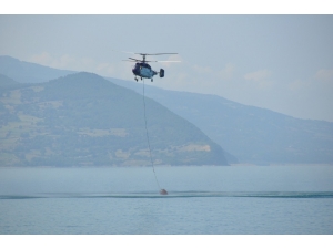 Sinop’ta Şüpheli Orman Yangını