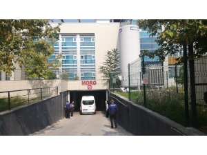 Ormanda Böceğin Isırdığı İddia Edilen Kazak Asıllı Adam Öldü