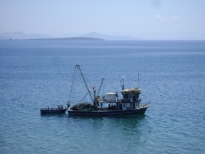 Didim’de Balıkçılar Denize Açıldı