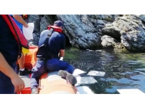 Yanarak Batan Tekne Denizde Kirliliğe Neden Oldu