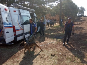 Kütahya’da Yaşlı Kadın Ormanda Kayboldu