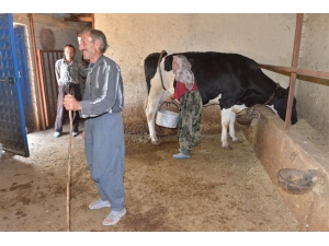 Mersin Orman Bölge Müdürlüğünden 129 Aileye 3,5 Milyon Lira Orköy Kredisi