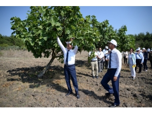 Üniversite Yönetimi Tarlada