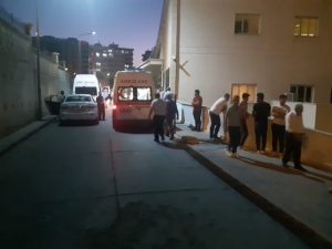 Siirt’te Yılanın Isırdığı Kadın Hayatını Kaybetti