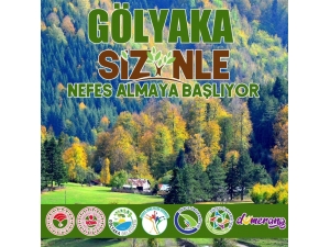 Gölyaka’ya 1111 Adet Ihlamur Dikilecek