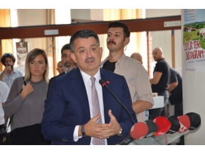 Bakan Pakdemirli’den Yangını Üstlenen Pkk Yorumu: