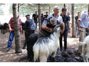 Isparta’da Kıl Kırkımı Şöleni