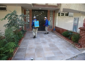 Haliliye’de Haşereyle Mücadele Sürüyor