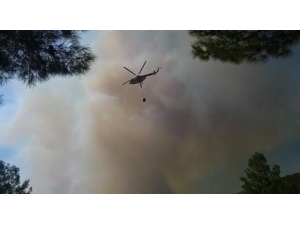 Kaş’taki Orman Yangını Kontrol Altına Alınmaya Çalışılıyor