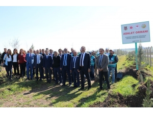 Diyarbakır’da Yükümlüler Çevre Temizliği Yaptı