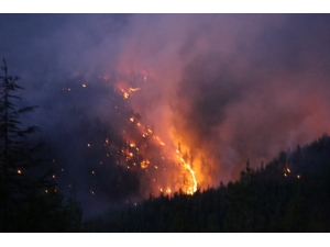 Kaş’taki Orman Yangını 6 Saat Sonra Kısmen Kontrol Altında