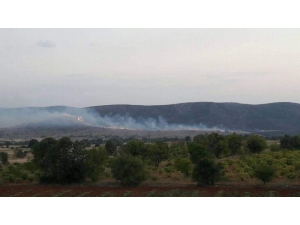 Denizli’de Anız Yangınında 60 Hektar Alan Zarar Gördü