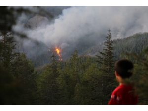 Kaş’taki Orman Yangınında Hızlı Müdahale Büyümeyi Önledi