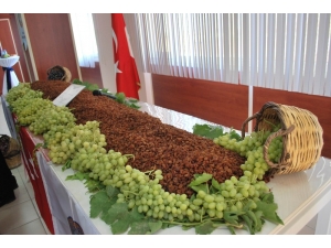 Tariş Açıkladı, En Düşük Üzüm 10 Lira