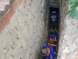 İncir Toplayayım Derken Az Kalsın Canından Olacaktı