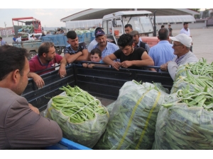 Fasulye Piyasası Altın Çağını Yaşıyor
