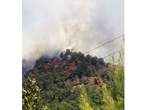 Marmaris Orman Yangınına Müdahale Sürüyor