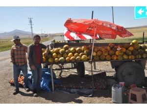 Balotu Kavunu Piyasaya Çıktı