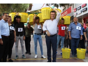 50 Kiloluk Kelterlerle En Hızlı Olmak İçin Yarıştılar