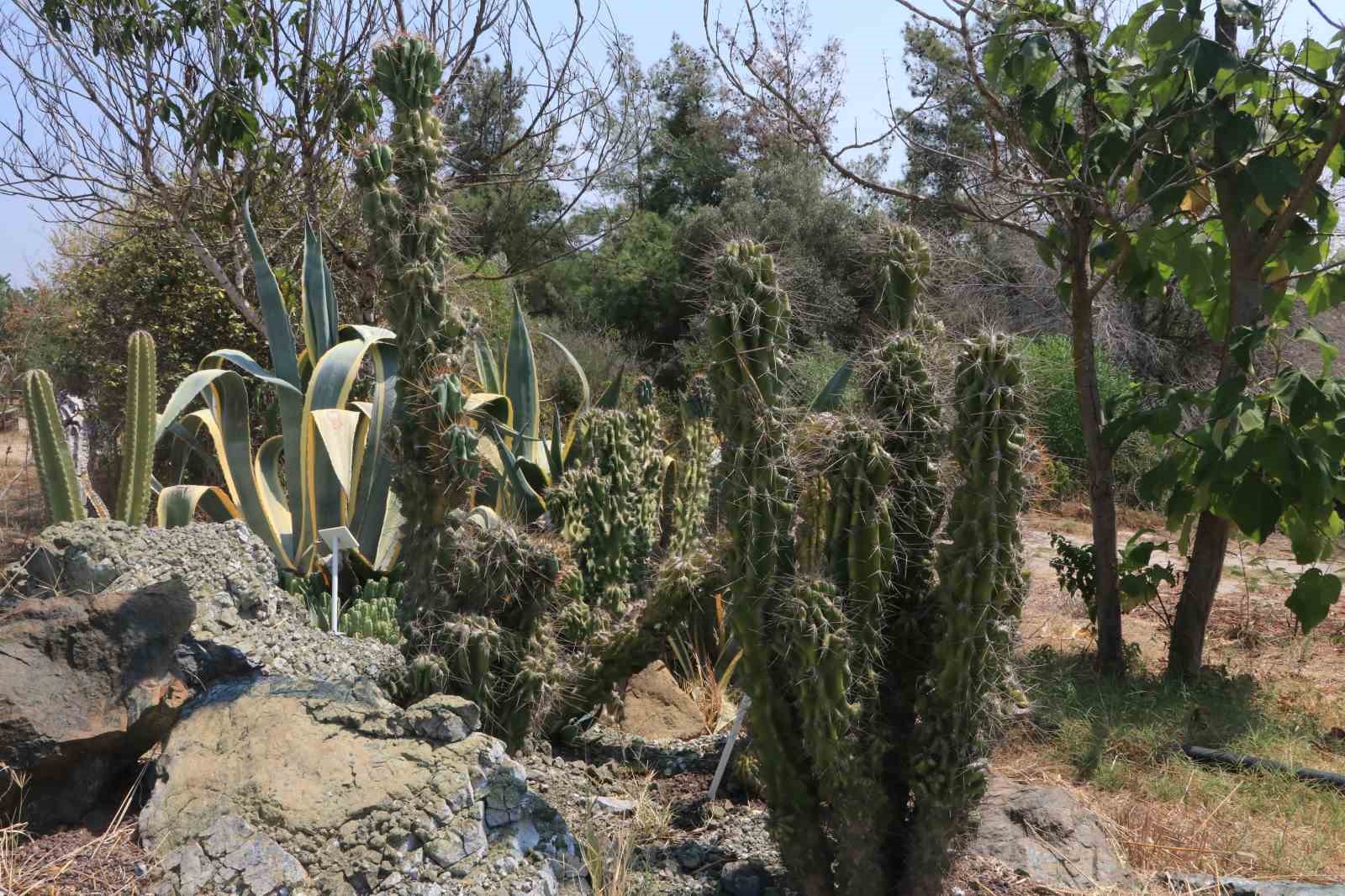 patagonya-degil-adana