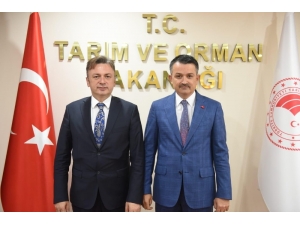 Rektör Şenocak’tan Bakanlar Pakdemirli Ve Gül’e Ziyaret