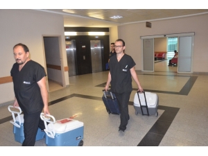 Organları 4 Hastaya Umut Oldu