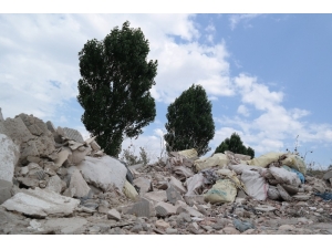 Çevreye Uydudan Koruma Kalkanı