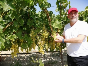 Ziraat Odası Başkanı Cem Yalvaç: “Hak Yerini Buldu”