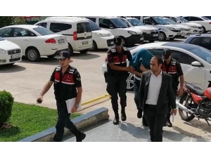 Ormanlık Alanda Kenevir Yetiştiren Şahıs Adliyeye Sevk Edildi