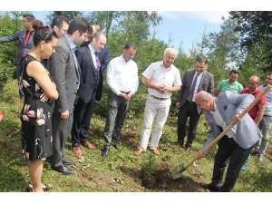 Halk Sağlığı Haftası’nda Fidan Dikildi