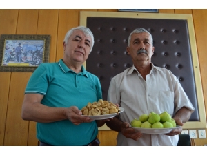 İncir Üreticisinin Keyfi Yerinde