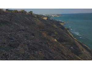 Tekirdağ’da Ormanlık Alanda Yangın